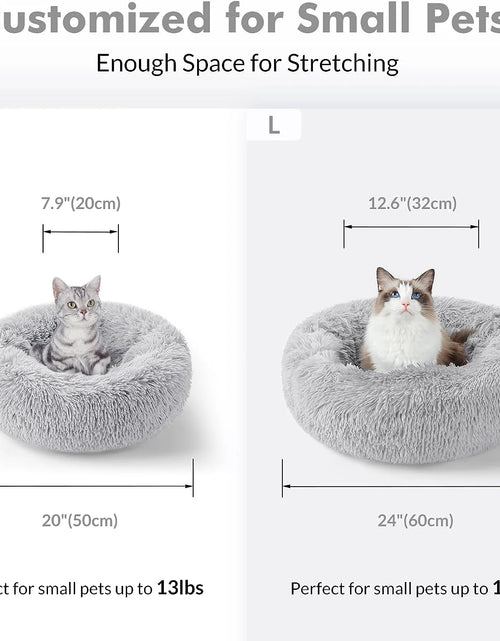 Load image into Gallery viewer, Cat Bed for Indoor Cats, Fluffy round Self Warming Calming Soft Plush Donut Cuddler Cushion Pet Bed for Small Dogs Kittens, 20 Inches
