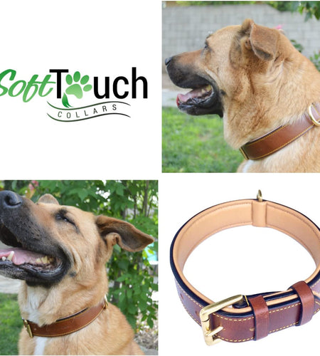 Padded Leather Dog Collar, Large Brown, Real Genuine Leather, 24" Long X 1.5 Wide, Fits Neck Size 18" to 21" Inches
