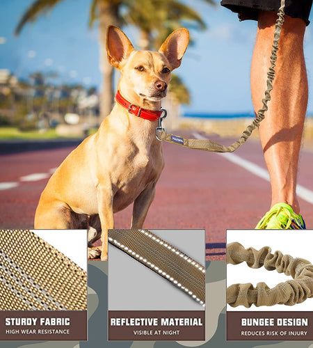 Heavy Duty Bungee Dog Leash for Medium Large Breed Dogs, No Pull for Shock Absorption with Car Seat Belt, 2 Padded Handles 4.5FT 6FT Training Dog Leash